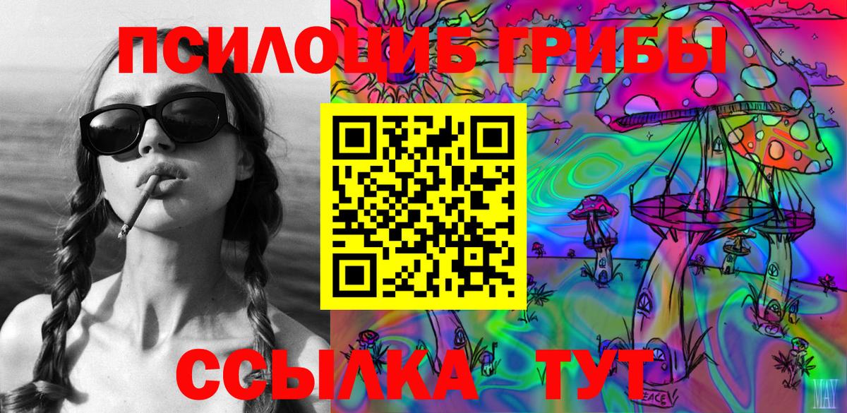 Псилоцибиновые грибы мицелий Тулун