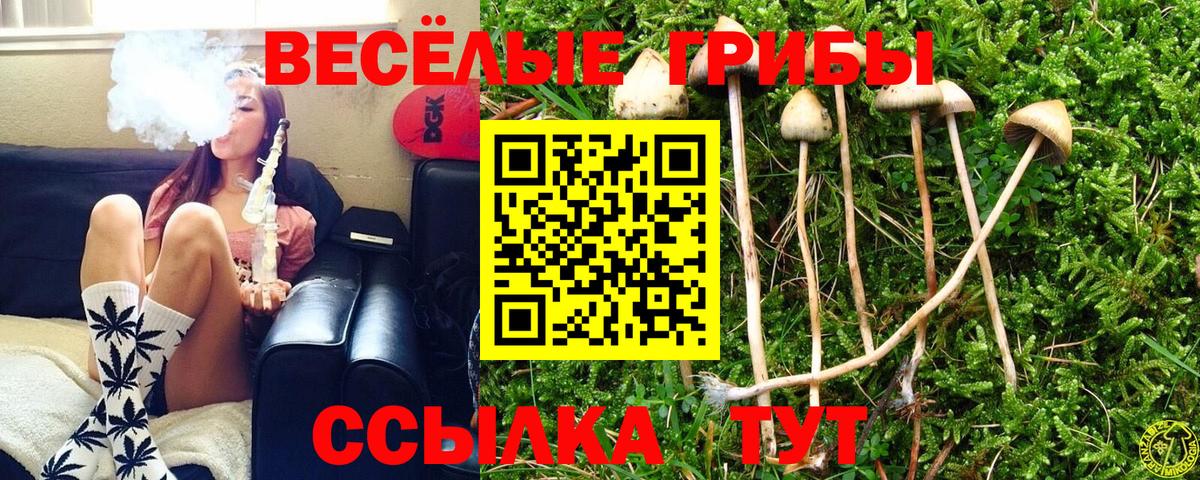 Псилоцибиновые грибы Magic Shrooms  Вход с VPN  Псилоцибиновые грибы прущие грибы  Тулун 